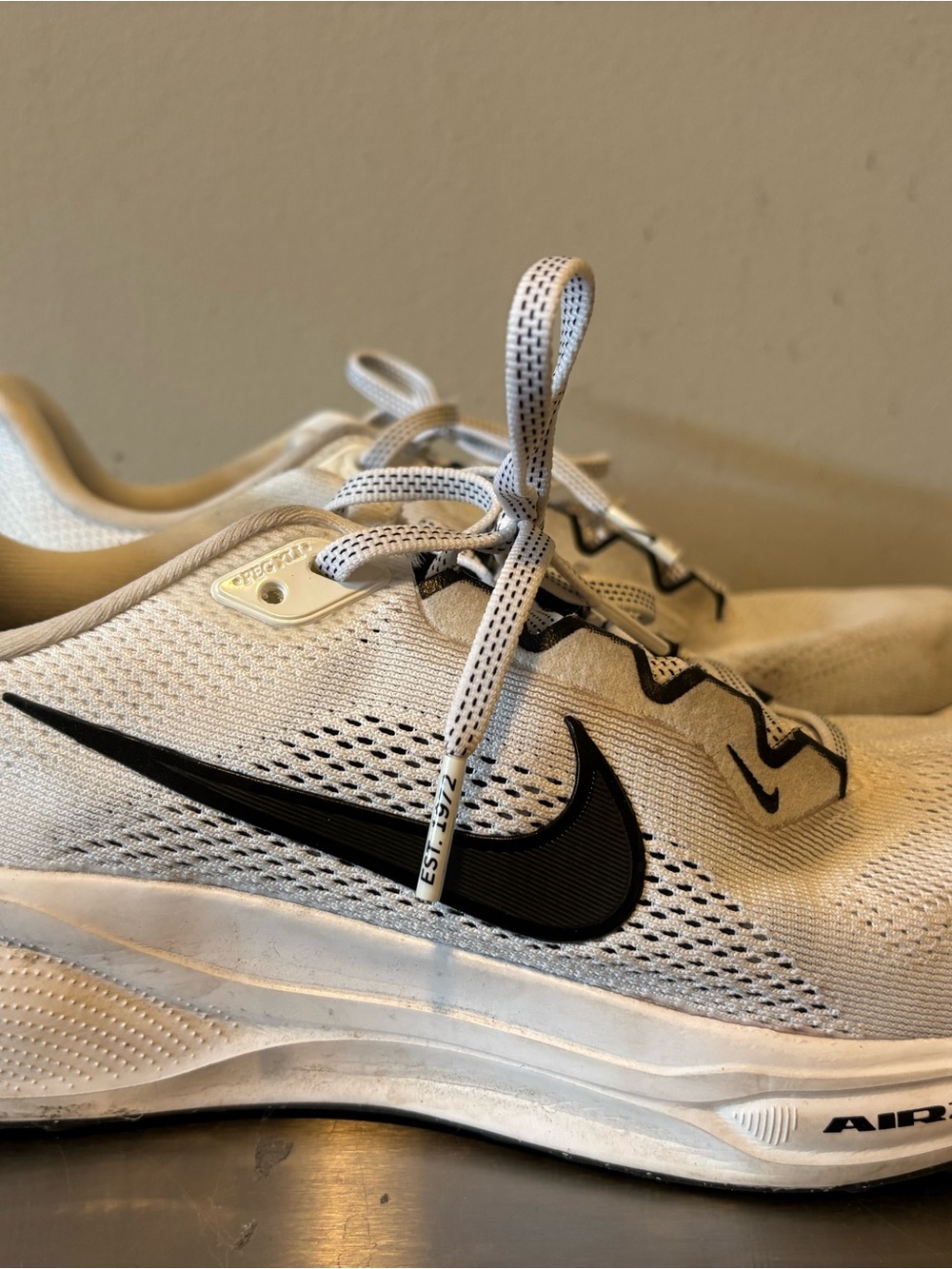 Nike White and Black Running Shoes